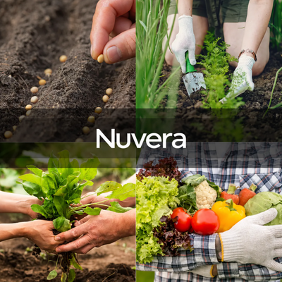 Nuvera® Seed Vault Kit - 35 Variety Pack