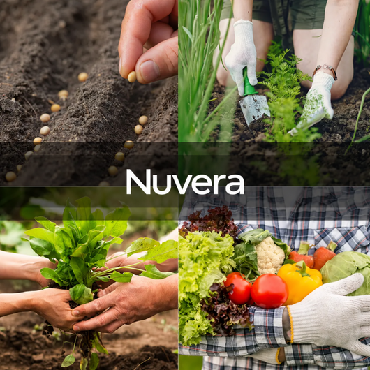 Nuvera® Seed Vault Kit - 35 Variety Pack